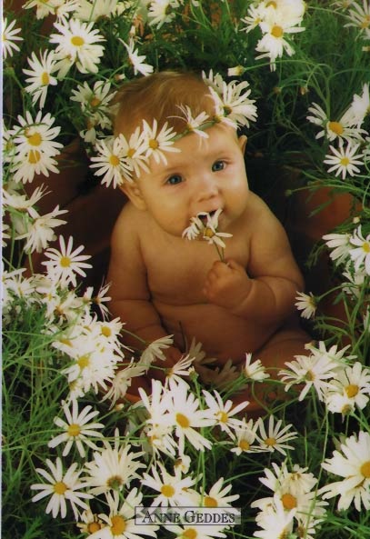 bébé
