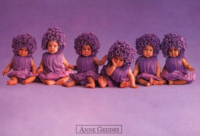 les bébés