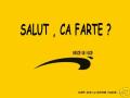 slt sa farte