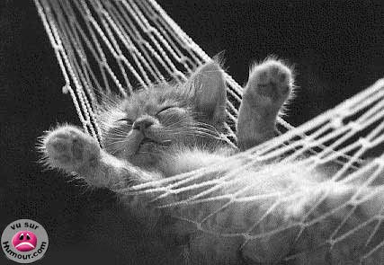tro mignon